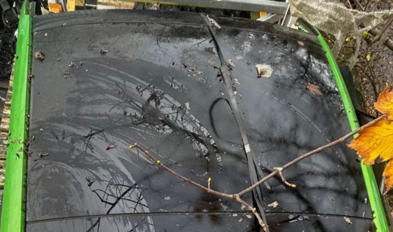 Ford Fiesta 2017 glass sunroof (Mk8)