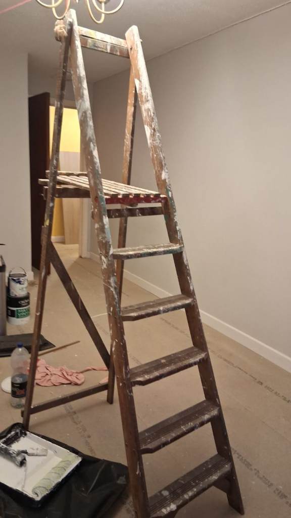 Painters ladders