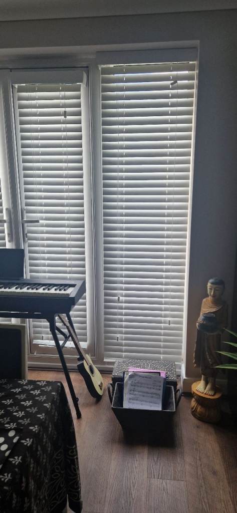 Door and side window blinds