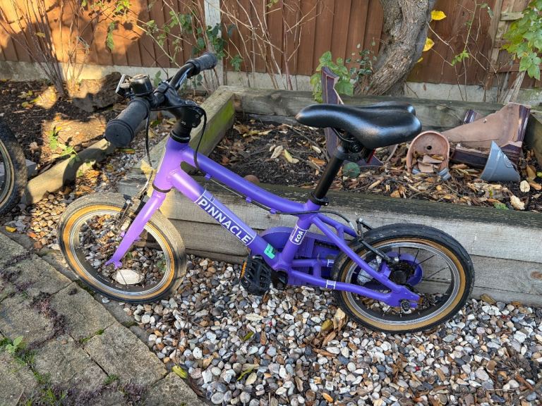 Pinnacle Koa 14 inch bike