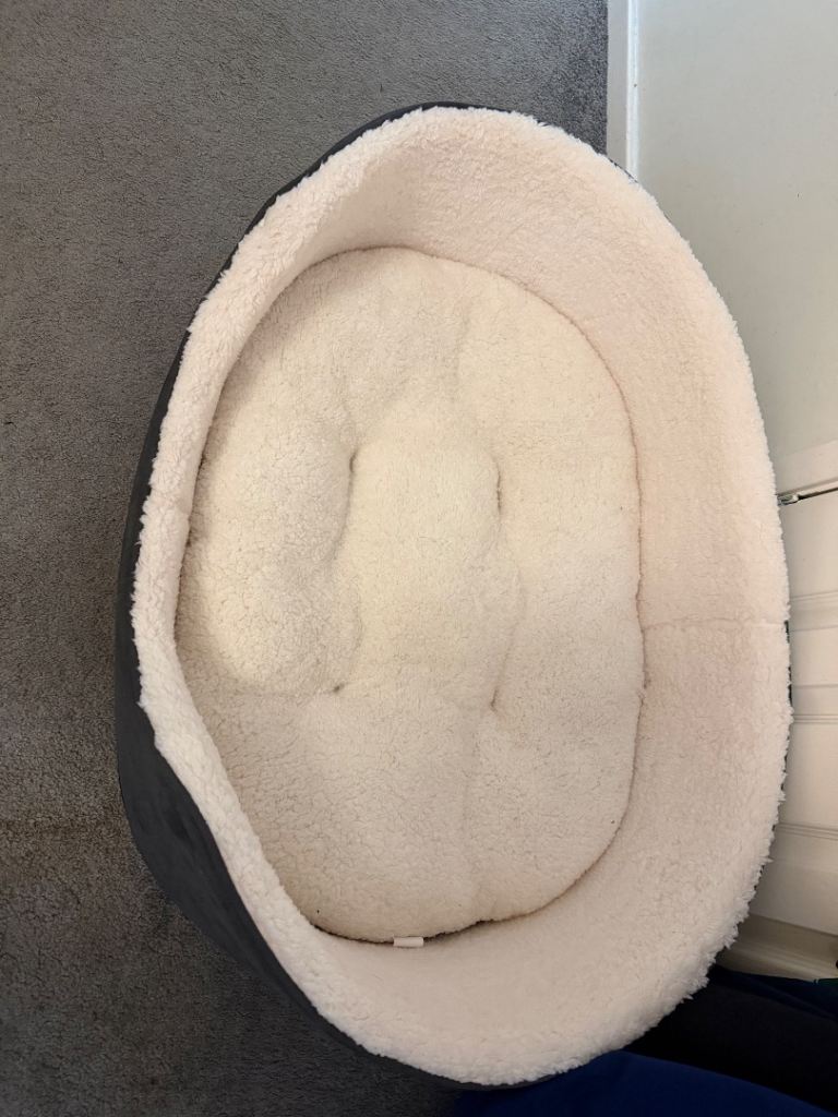 XL brand new Oval Dog Bed