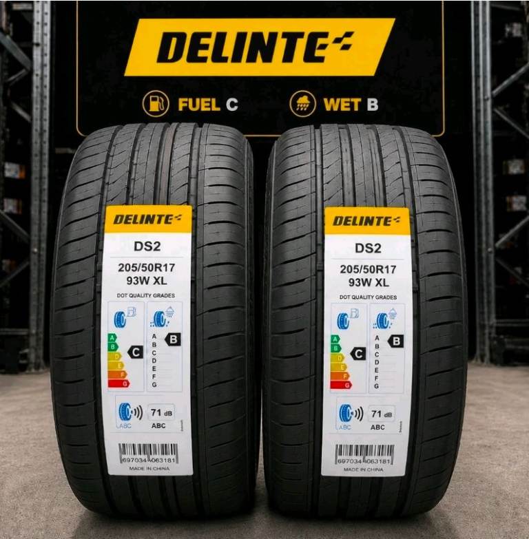 2 X 205/50R17 93W XL DELINTE DS2  High Performance Tyres