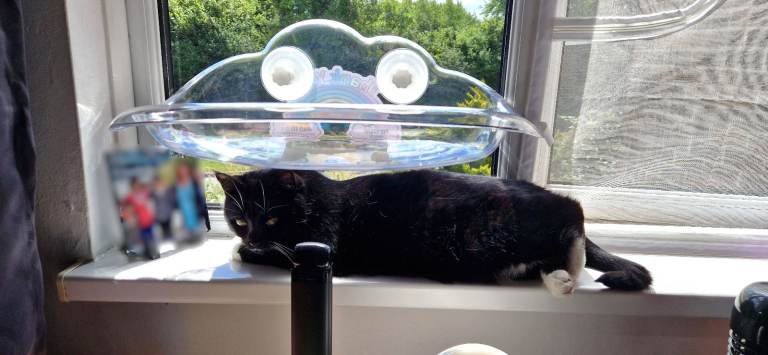 Brand New Transparent Cat Hammock Bed with Suction Cup ideal for Indoor cats