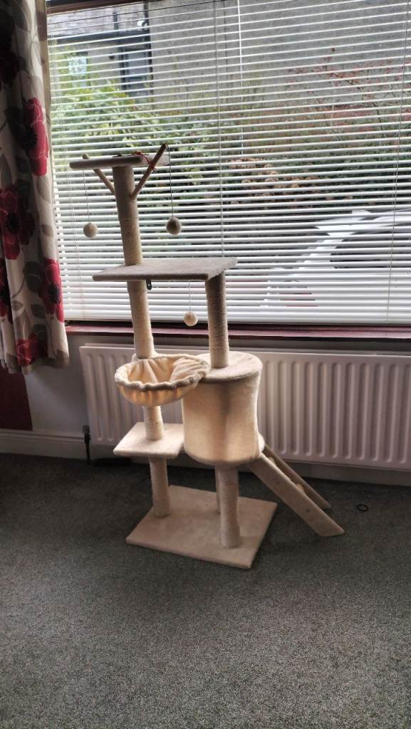 Cat Tree
