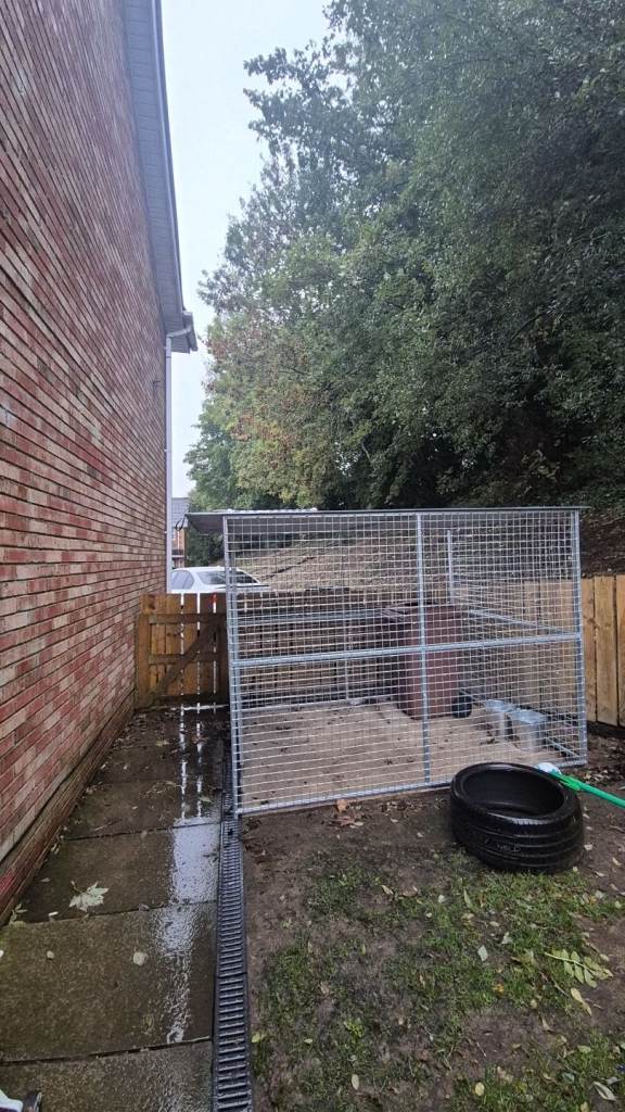 Oudoor dog kennel 