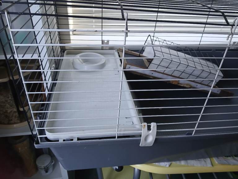 Guinea pig/small mammal indoor cage
