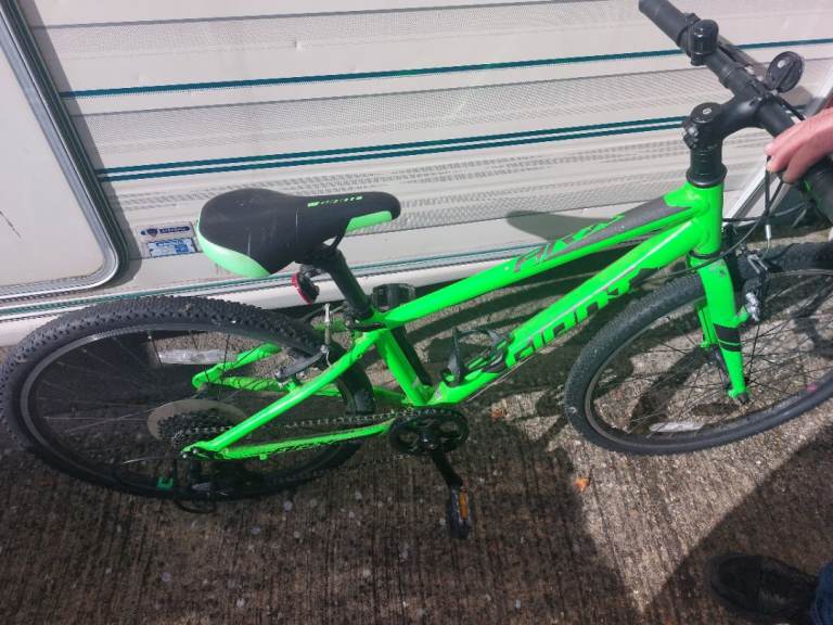 image for Giant bike