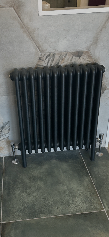 Black cast iron radiator 