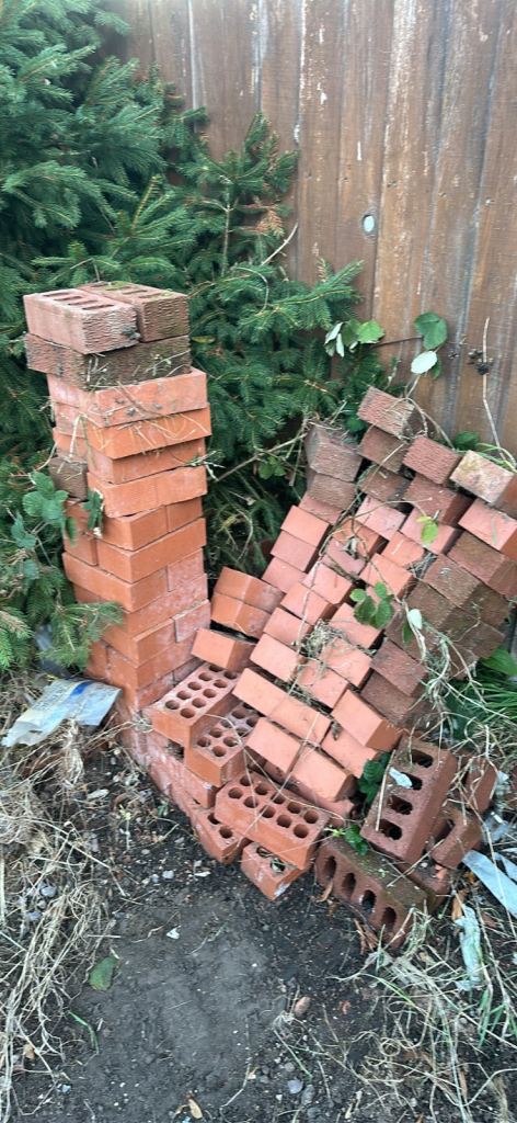 Bricks x 80