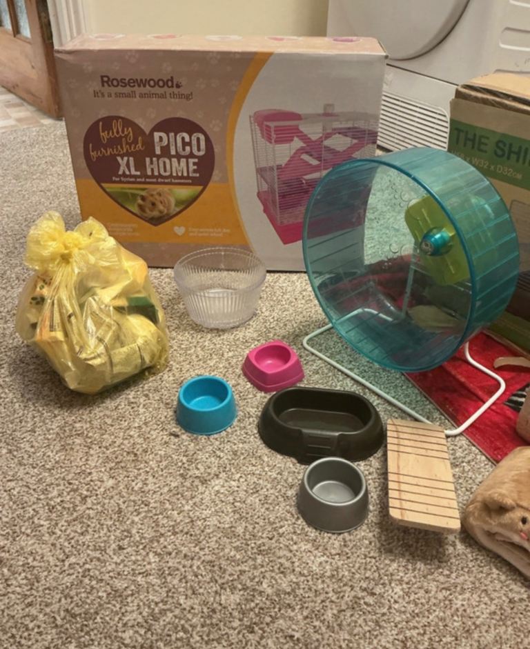 Hamster  bundle