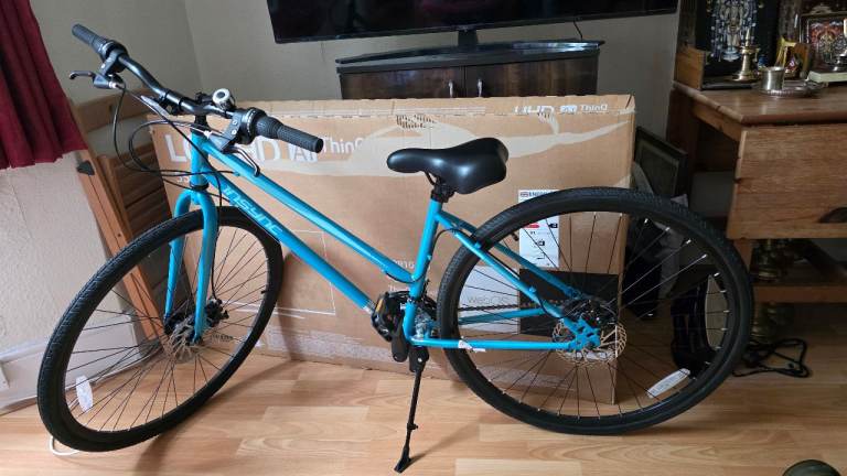 Insync Carina Adult Hybrid Bike – Immaculate, Hardly Used!