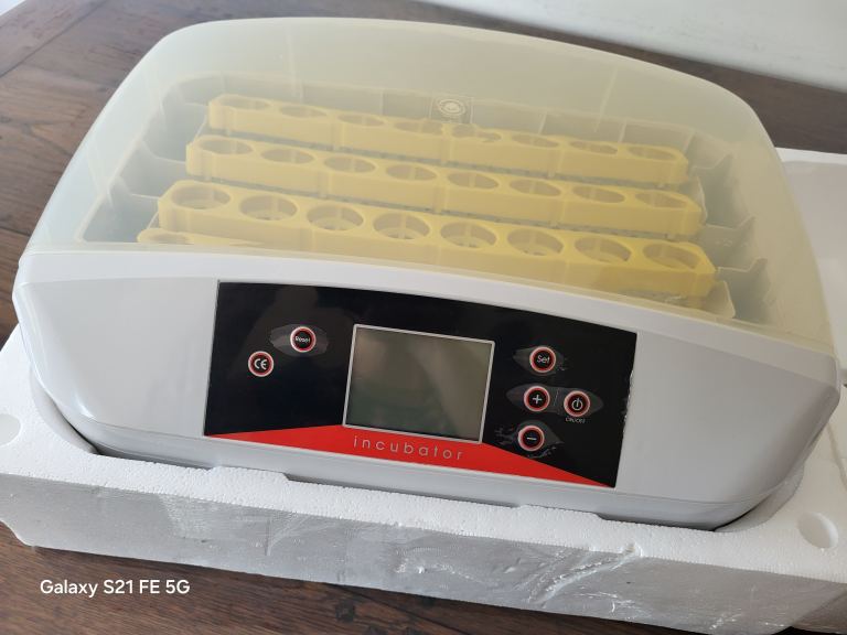 Incubator