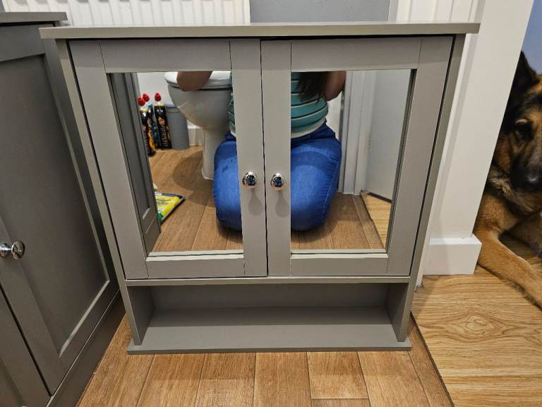 Grey Bathroom Wall Cabinet with Mirror Doors – Good Condition