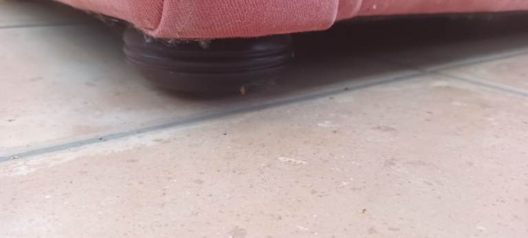 Laura Ashley 2 seater sofa 