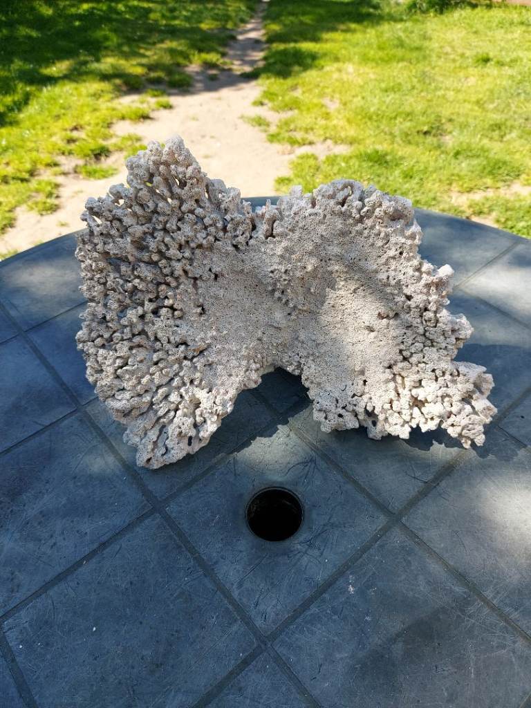 Beautiful Piece Of Reef Rock For Sale! 