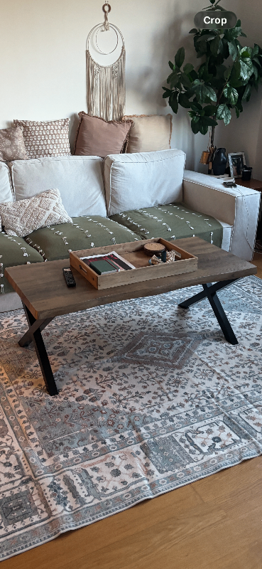 Mango wood coffee table (Oak) 