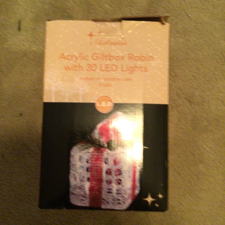 Mains operated indoor/outdoor robin and present