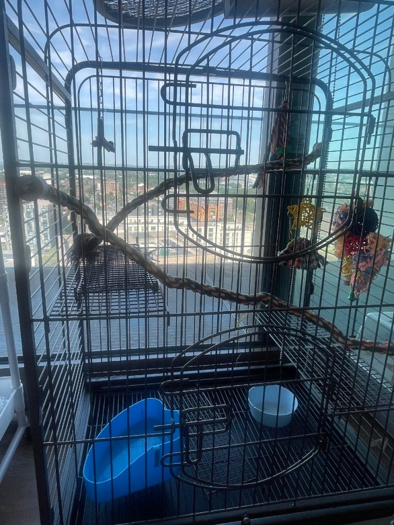 Large Rat/Ferret Cage with Full Set of Accessories