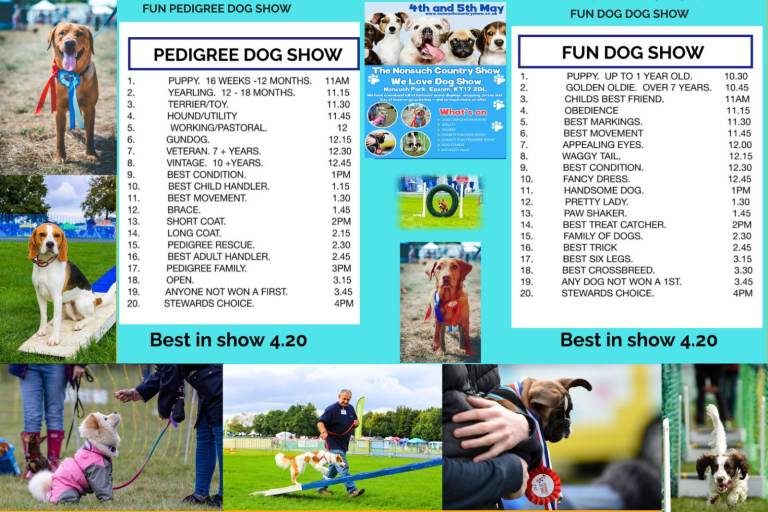 THE BUCKS WE LOVE DOGS