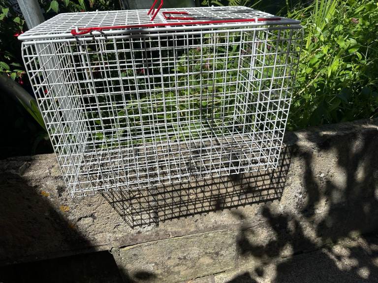 Cat Carrier Crate