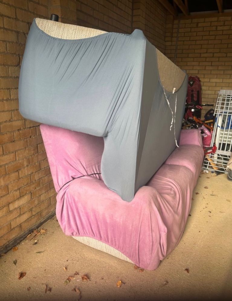 Free to a good home