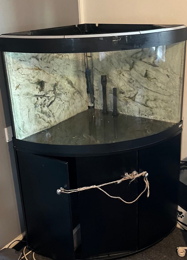 Black Corner Fluval Tank 
