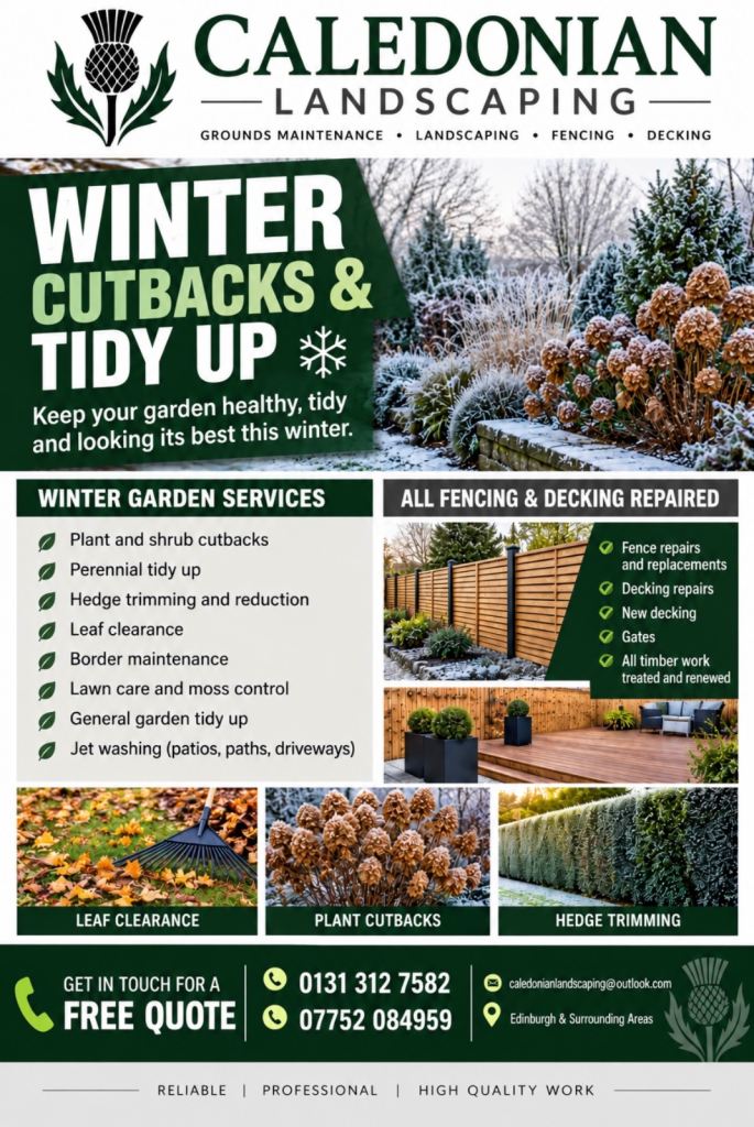 Winter Tidy Up / works