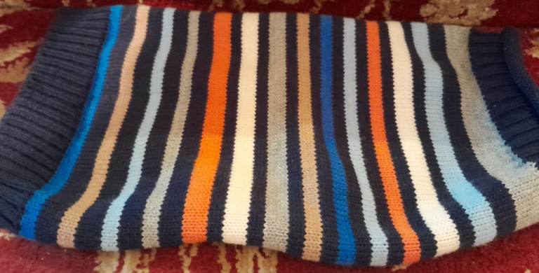 Striped warm dog jumper