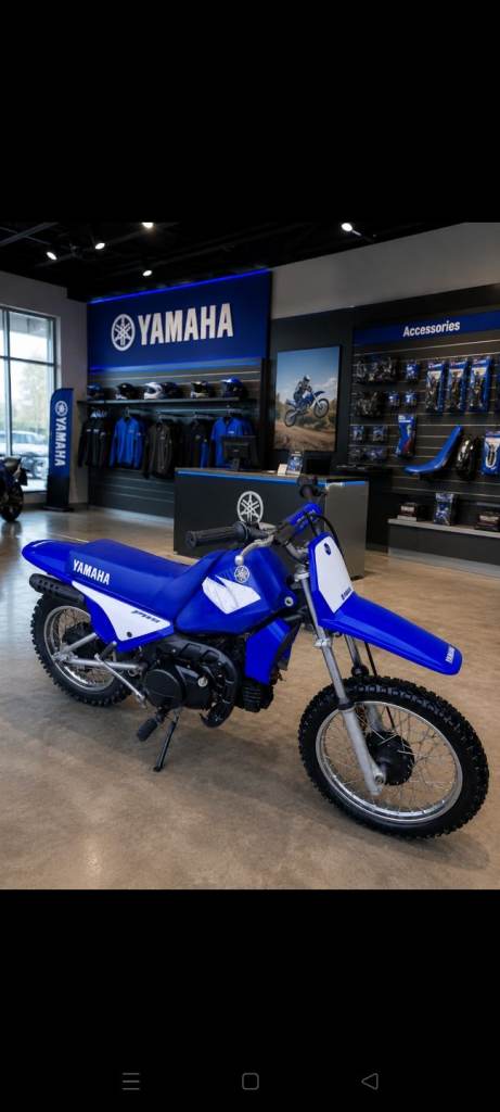 Yamaha pw80 