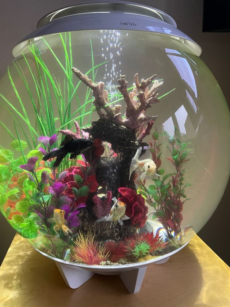 Good Condition Round Aquarium Fish Tank with Decorations