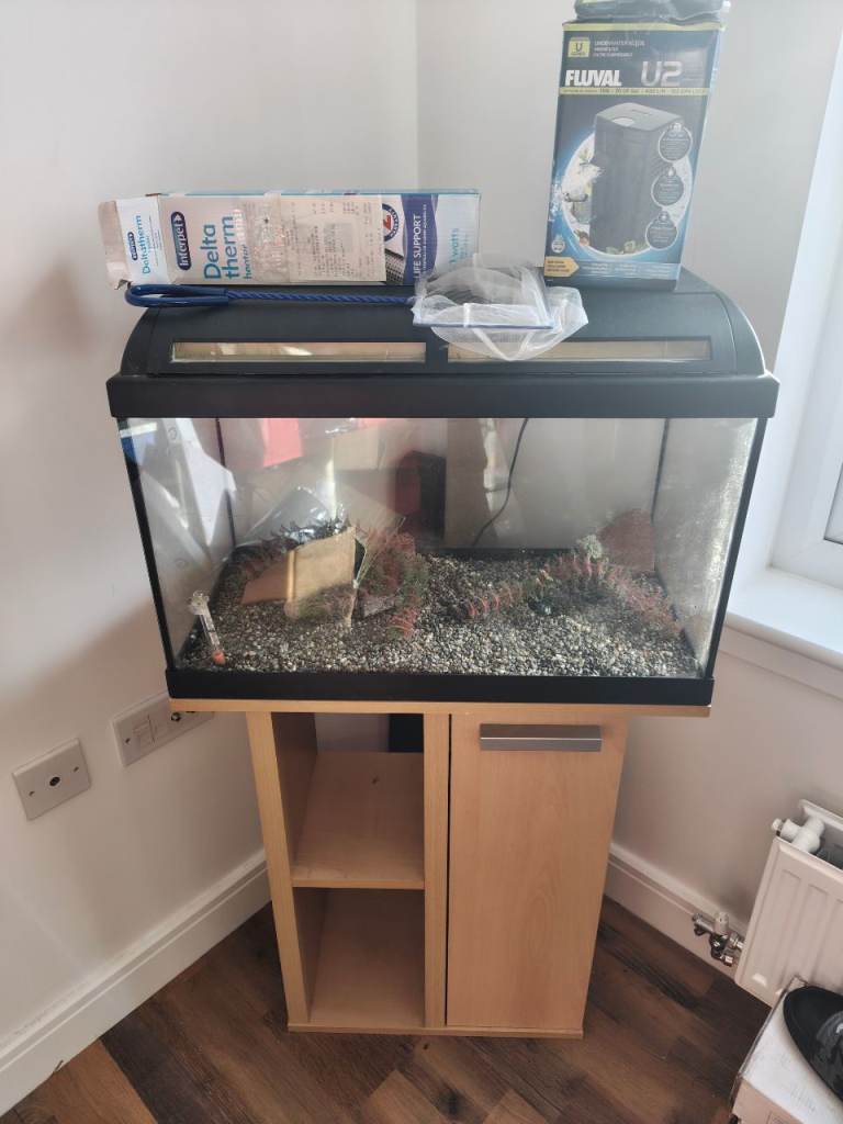 image for Fish tank and accessories 