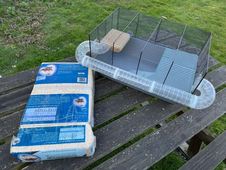 Hamster cadge and wood chip bedding