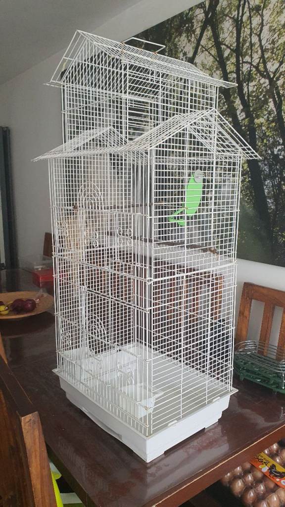 White bird cage- large 