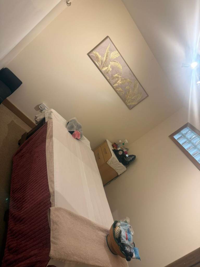 Apple Professional thaimassage