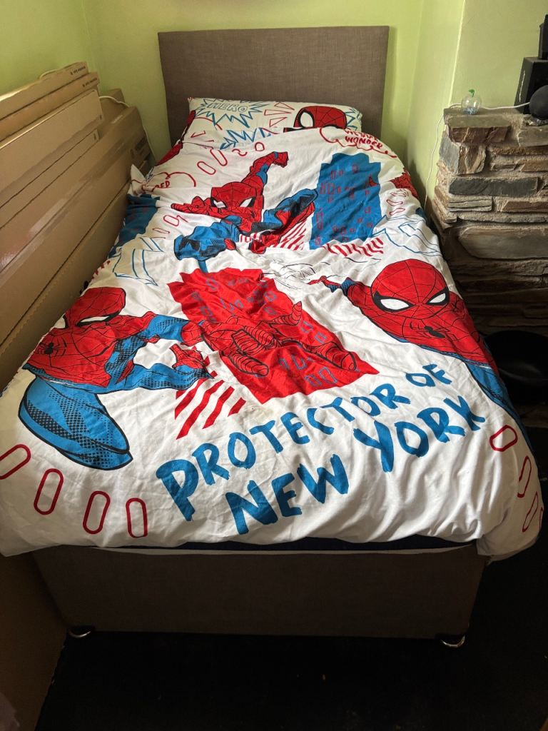 Single bed with mattress (free)