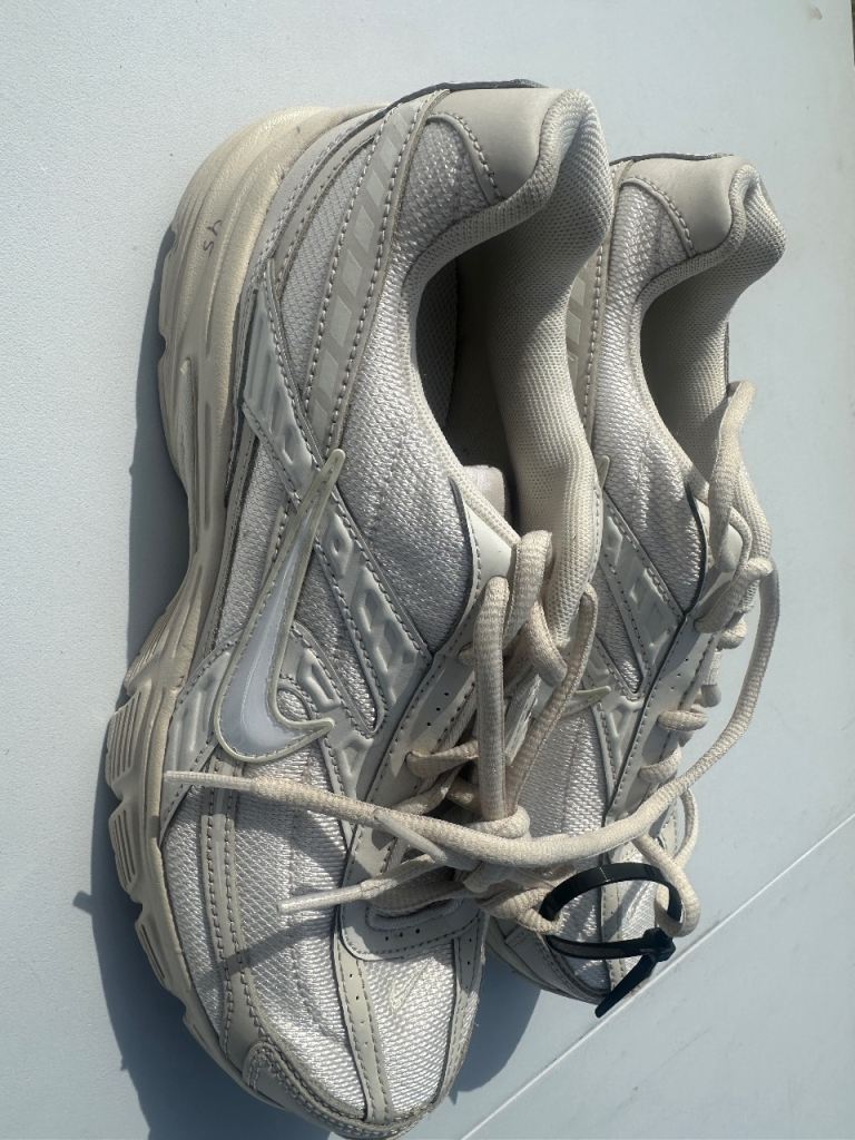Nike Trainee shoes 
