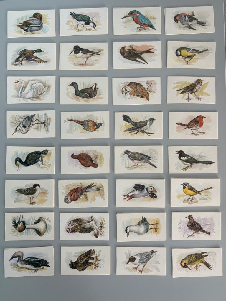 JPS Cigarette Cards - British Birds Collection 1980