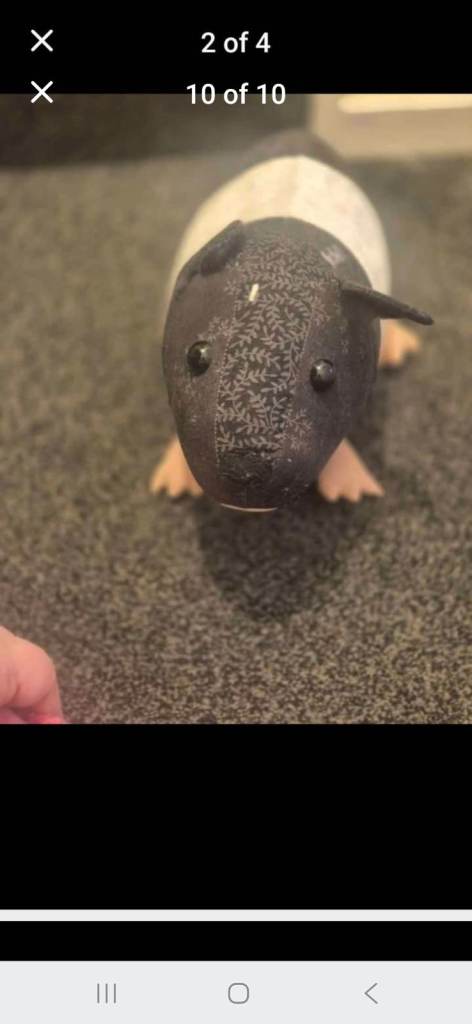 Cute Black and White Guinea Pig Soft doorstop  – As Good As New