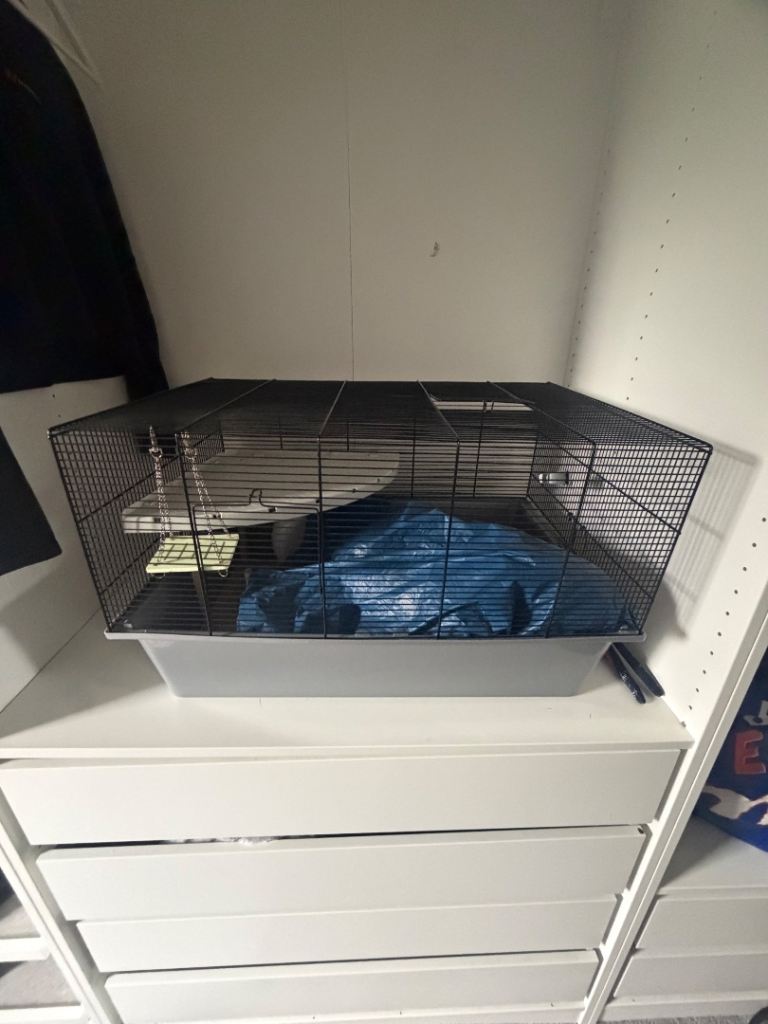 🐹 Hamster Cage + Large Bundle of Accessories