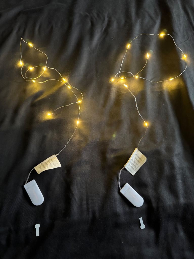 Small battery powered led lights