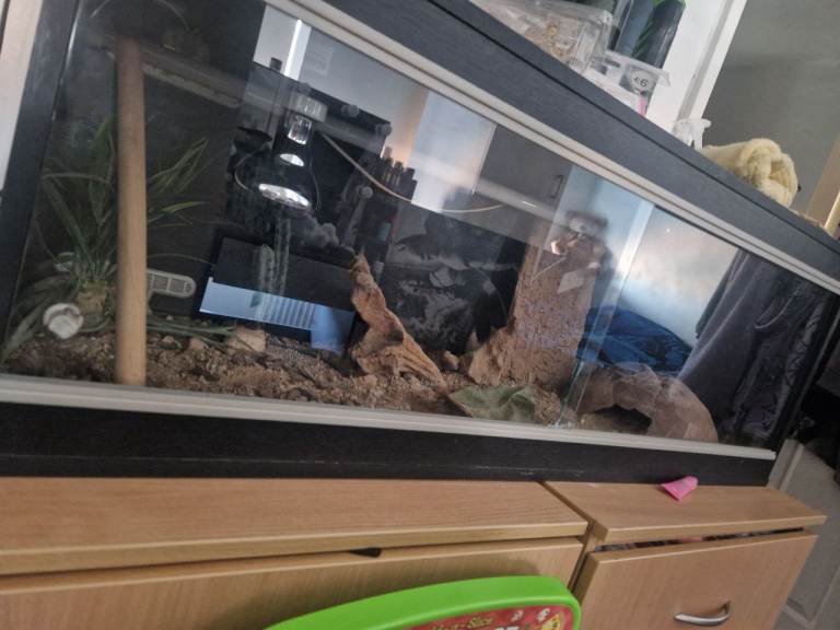 4ft Vivarium 