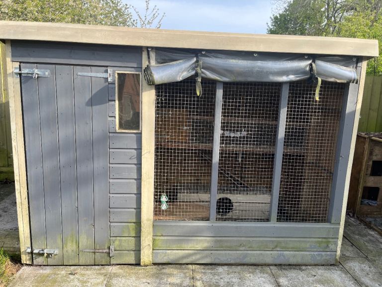 Rabbit shed 