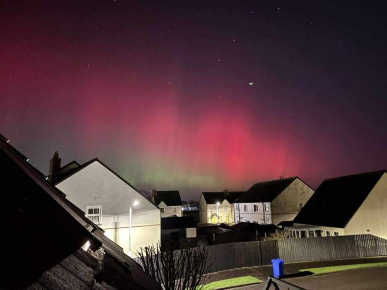 wanted a long wheelbase high roof van not warried if it has a bit of damage as long as its clean 