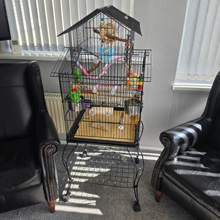 Bird Cage