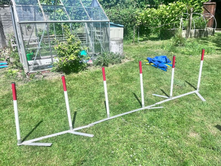 Dog agility equipment 