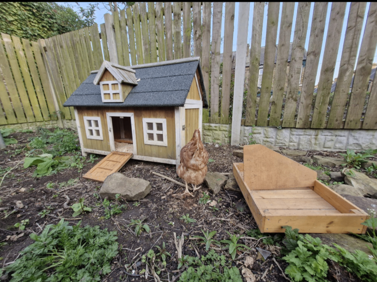 Chicken coop