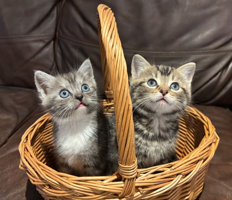 All now reserved