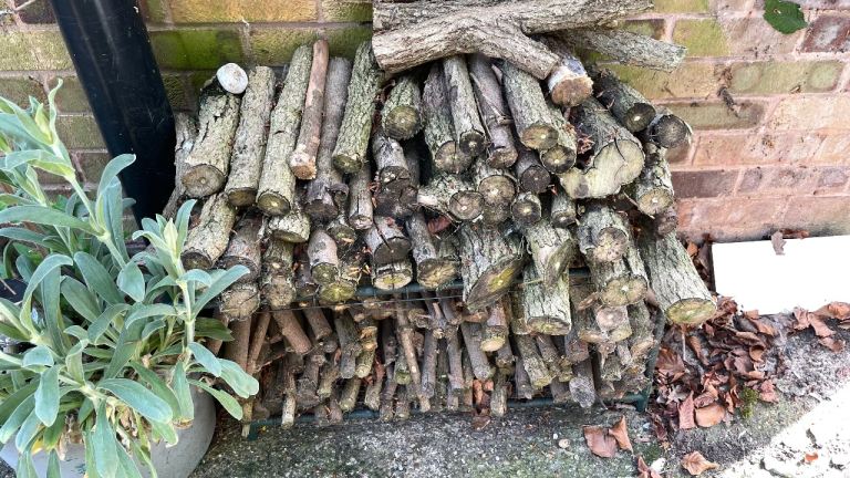 Free logs, carlton, Nottingham 