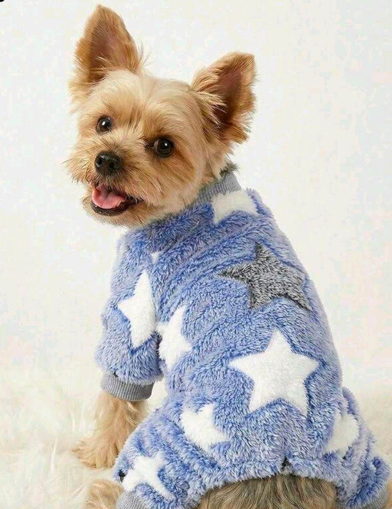 Pet Pyjamas dog/cat XL