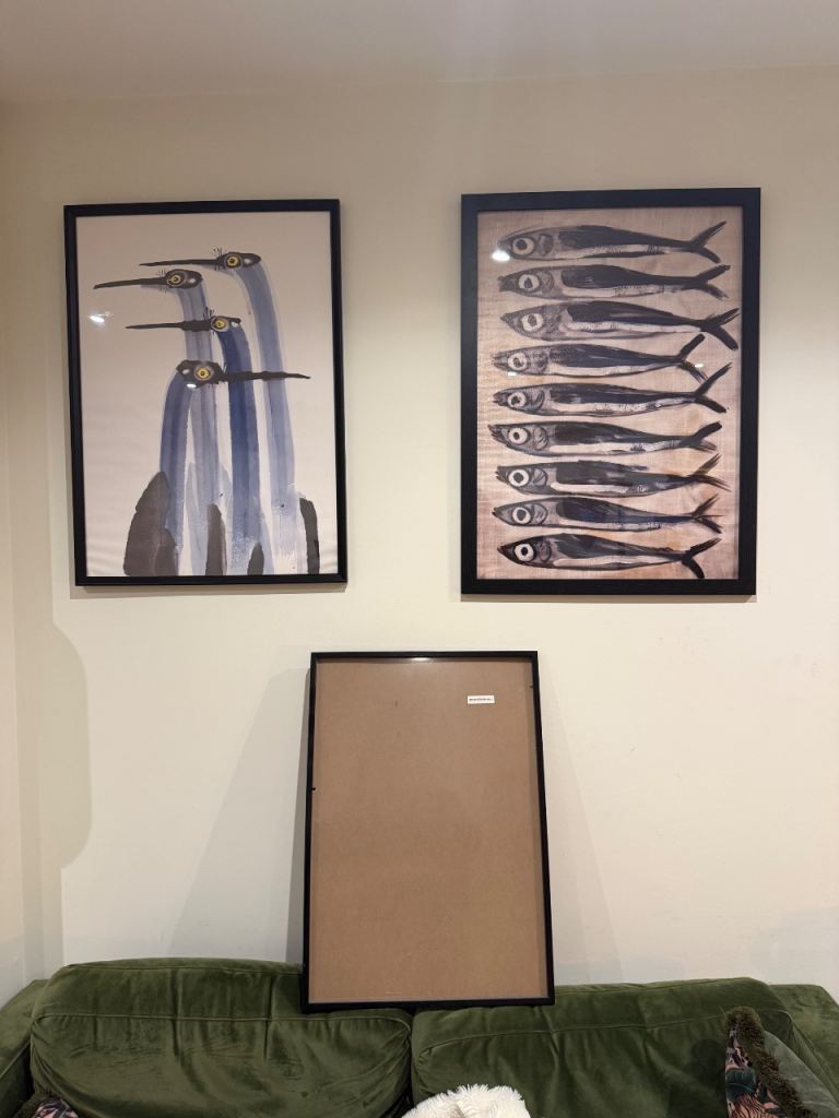 Set of 3 Framed Pictures – Fish & Birds, Good Condition
